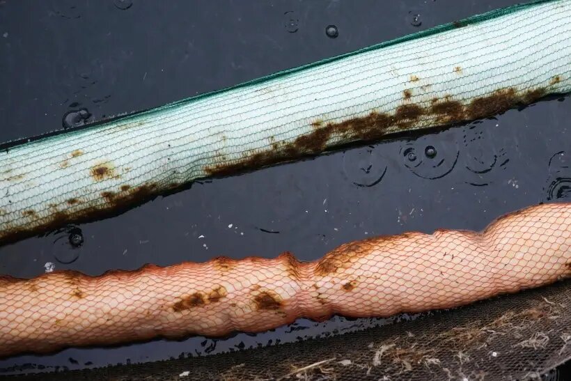     © РИА Новости. Виталий Тимкив