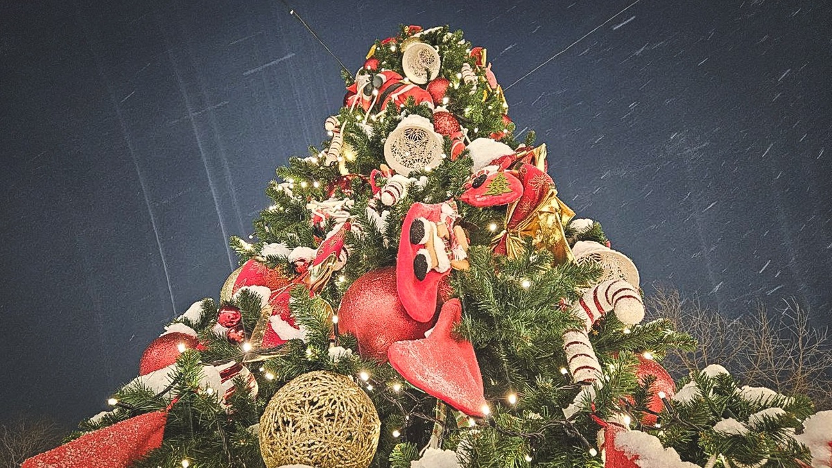     Источник: 1MI