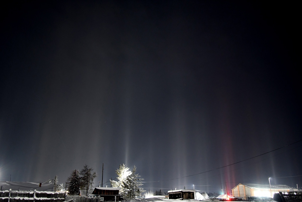    Фото: Заповедник «Тунгусский», Мороз Е.А.
