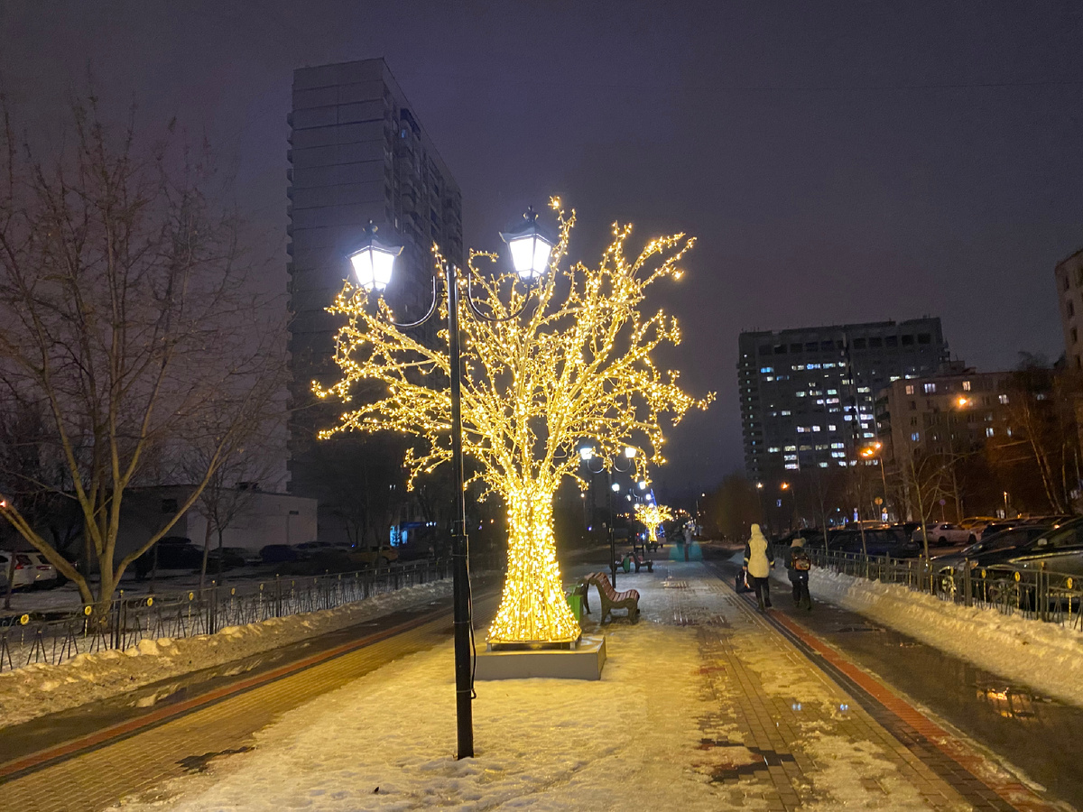 Деревья их лампочек