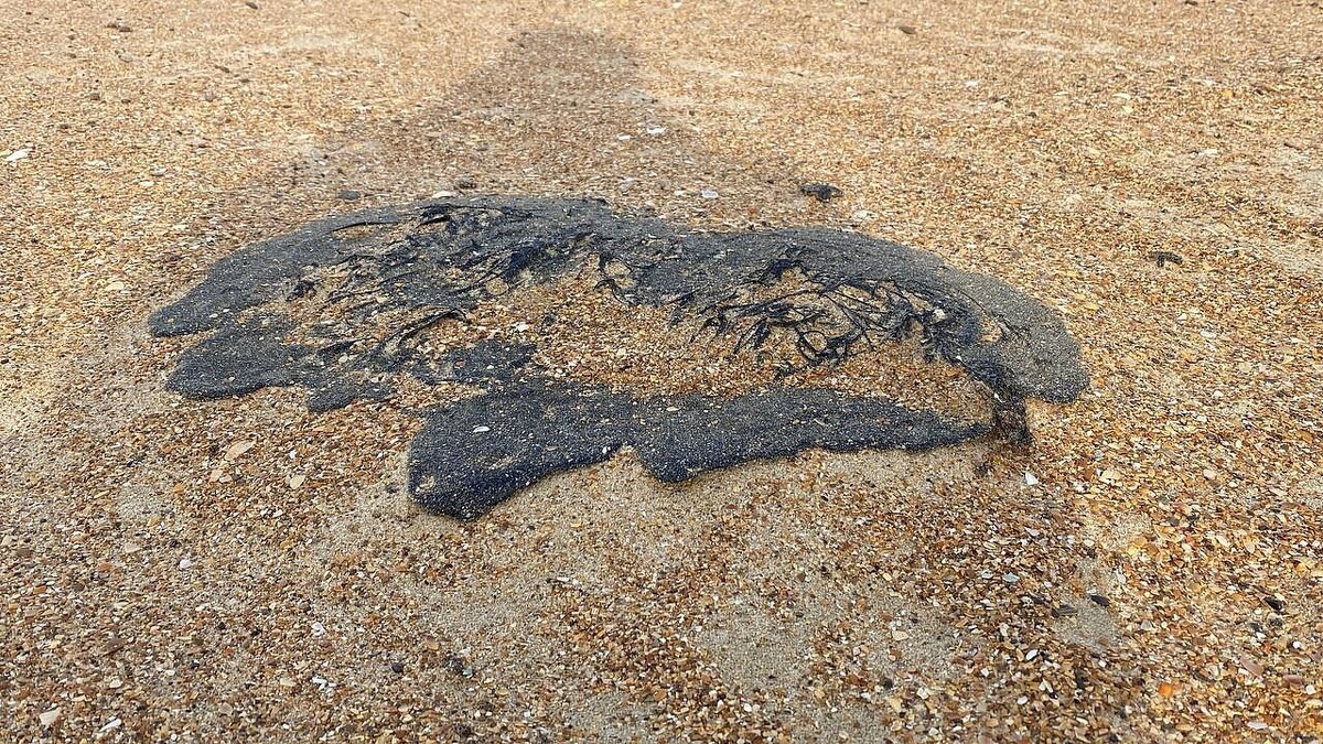    Фото: телеканал «Краснодар»