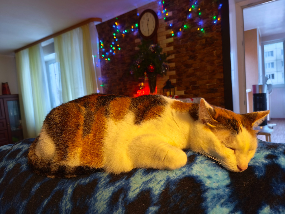 Желание у нас одно - чтобы глаза на вас не смотрели...