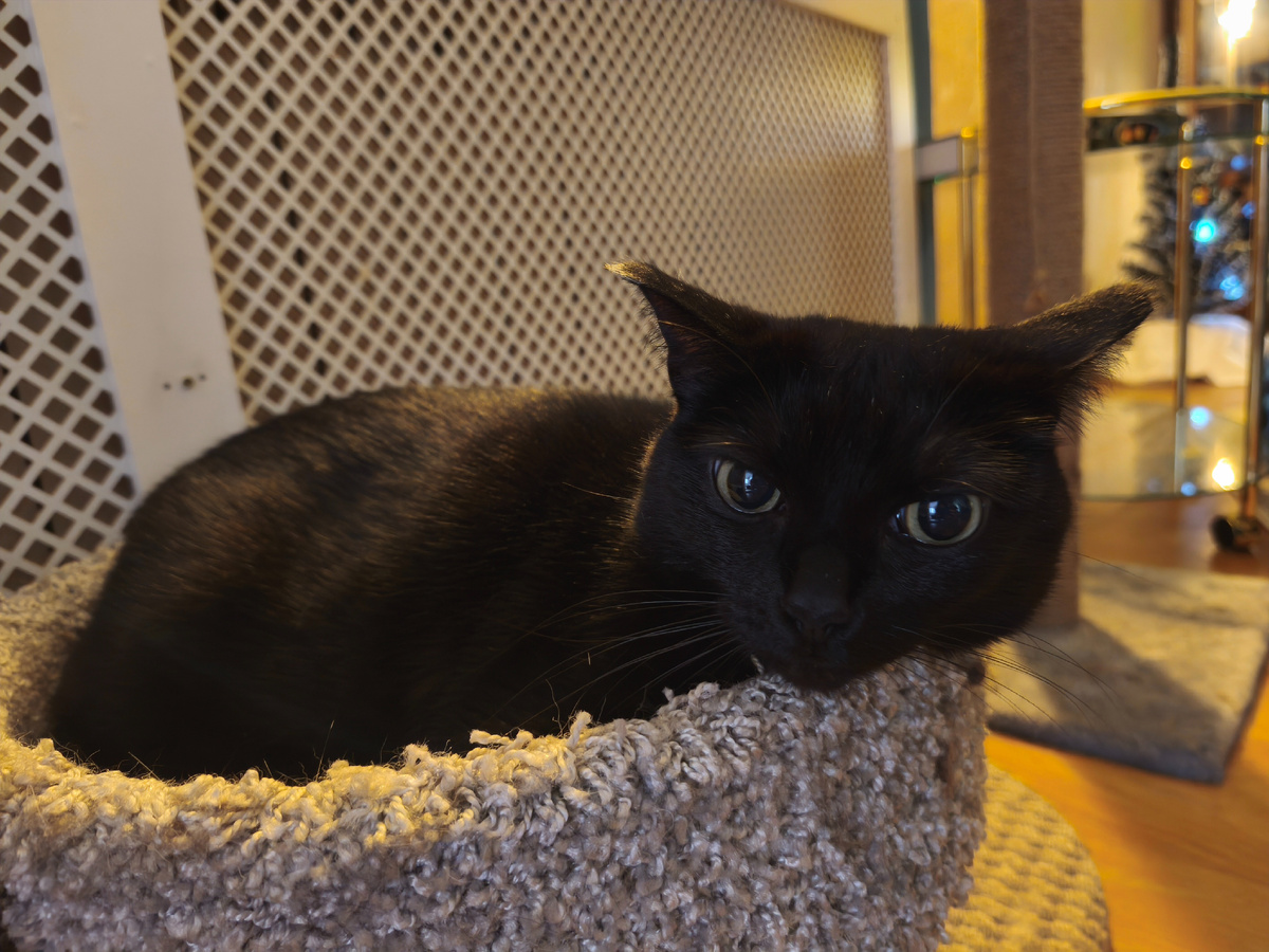 О каком таком высоком? Нам и здесь неплохо