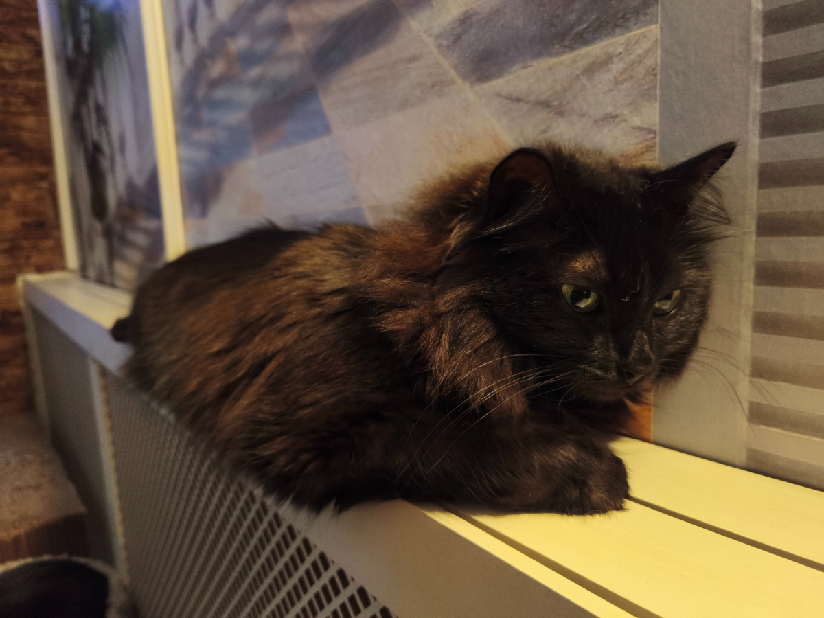 ушла в медитацию...