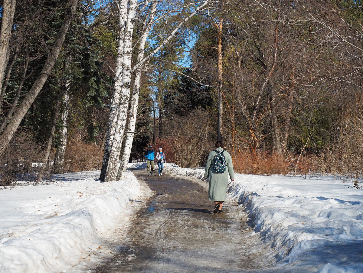 Мэрия добавила световых фигур и иллюминации в городском парке Салехарда.  Фото: ФедералПресс / Антон Федулов