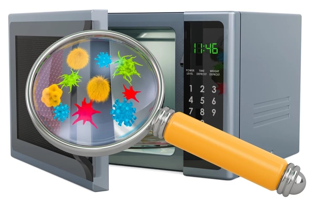    Живучи и прожорливы.