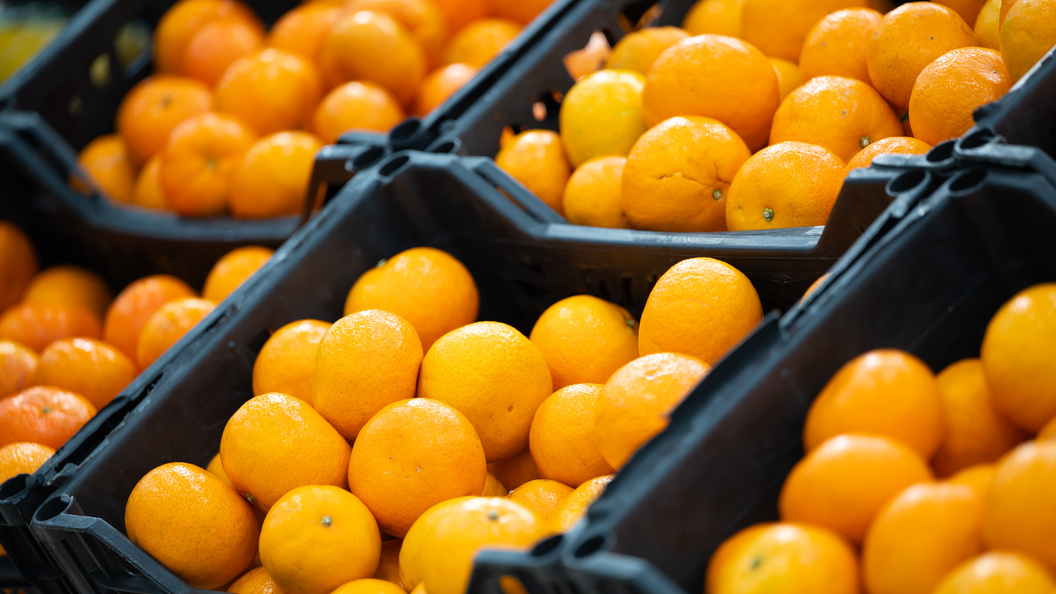    Ruslan Yarocky/URA.RU/Globallookpress