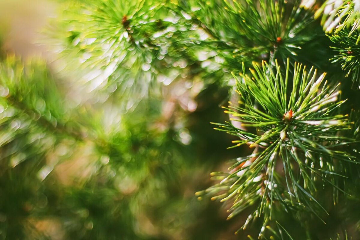     123RF/legion-media.ru