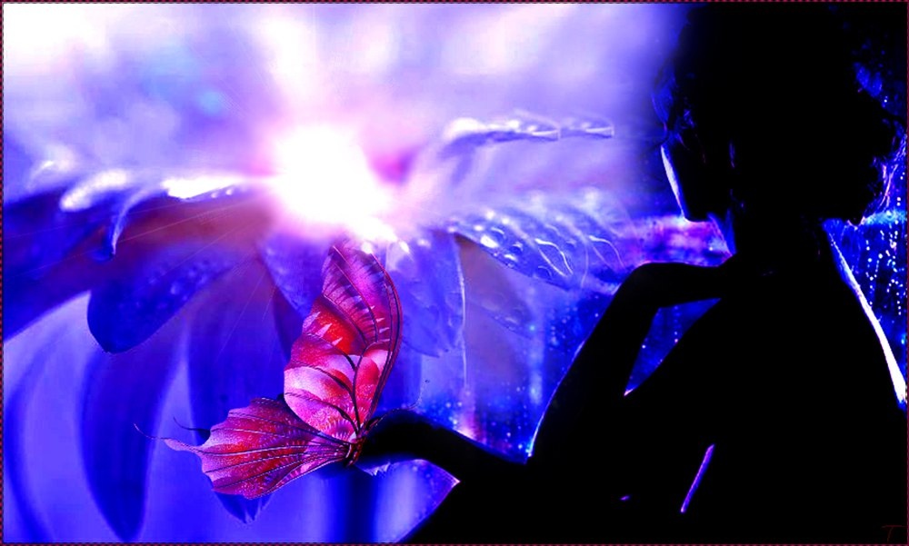 Из открытых источников