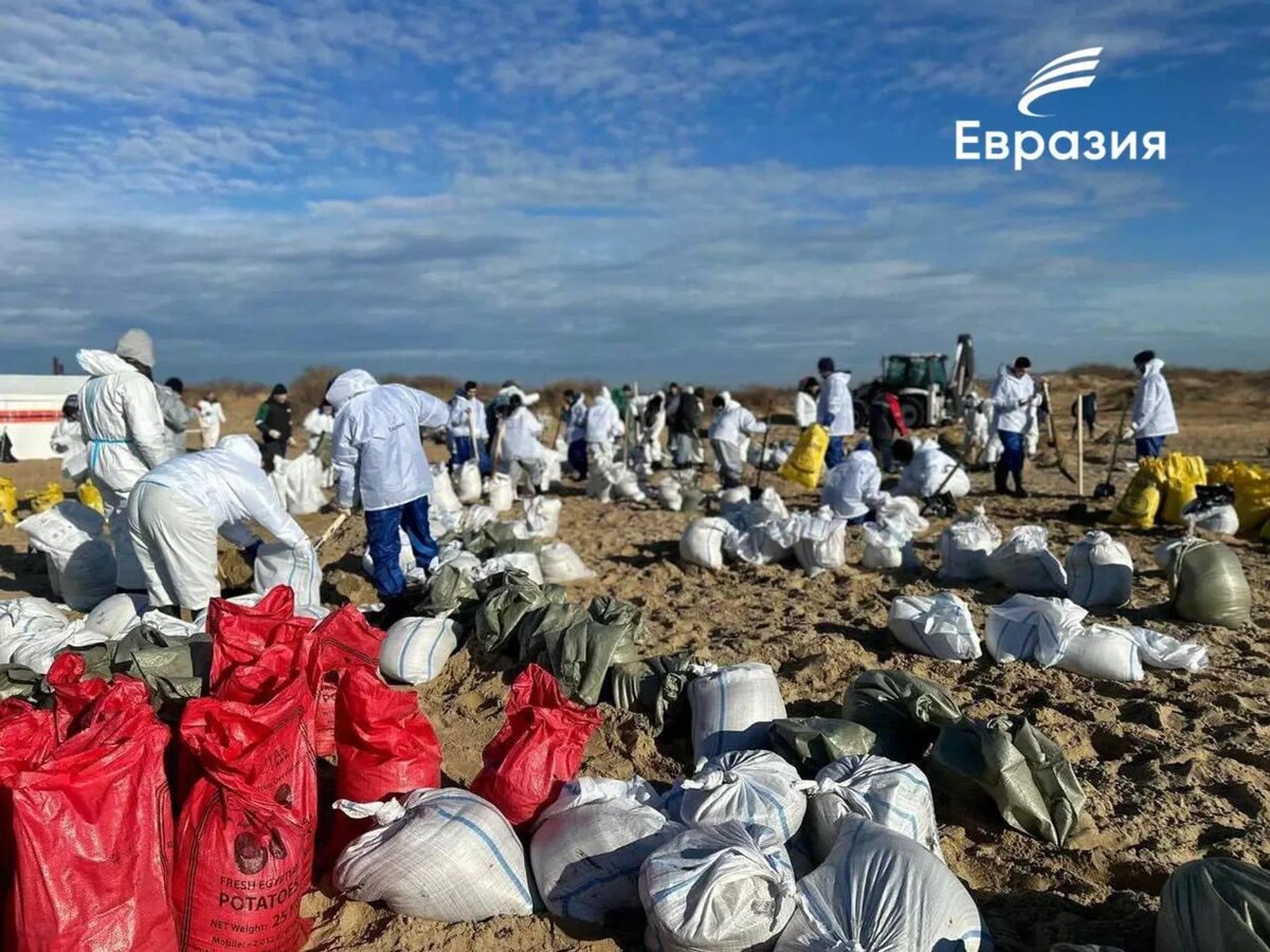 Волонтеры "Евразии" помогают устранять последствия разлива мазута на Черноморском побережье
© Photo : Евразия
