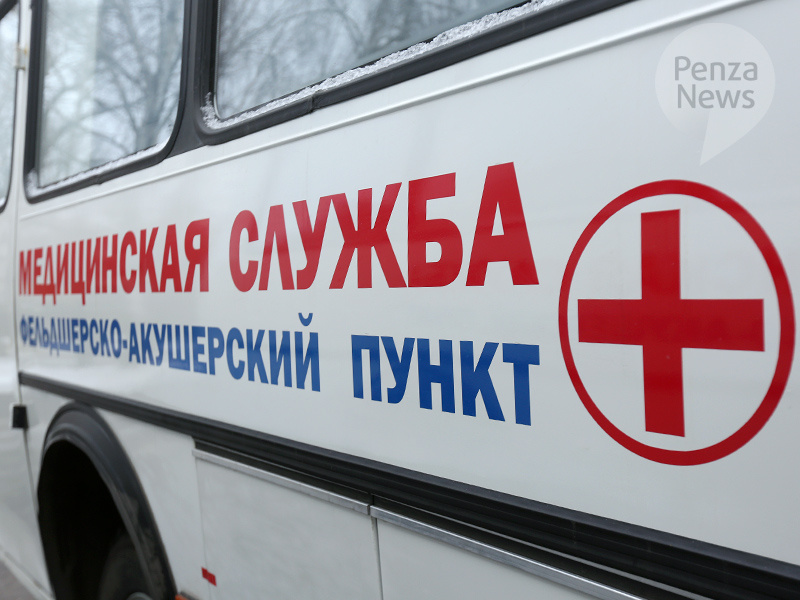    © Фото из архива ИА «PenzaNews»