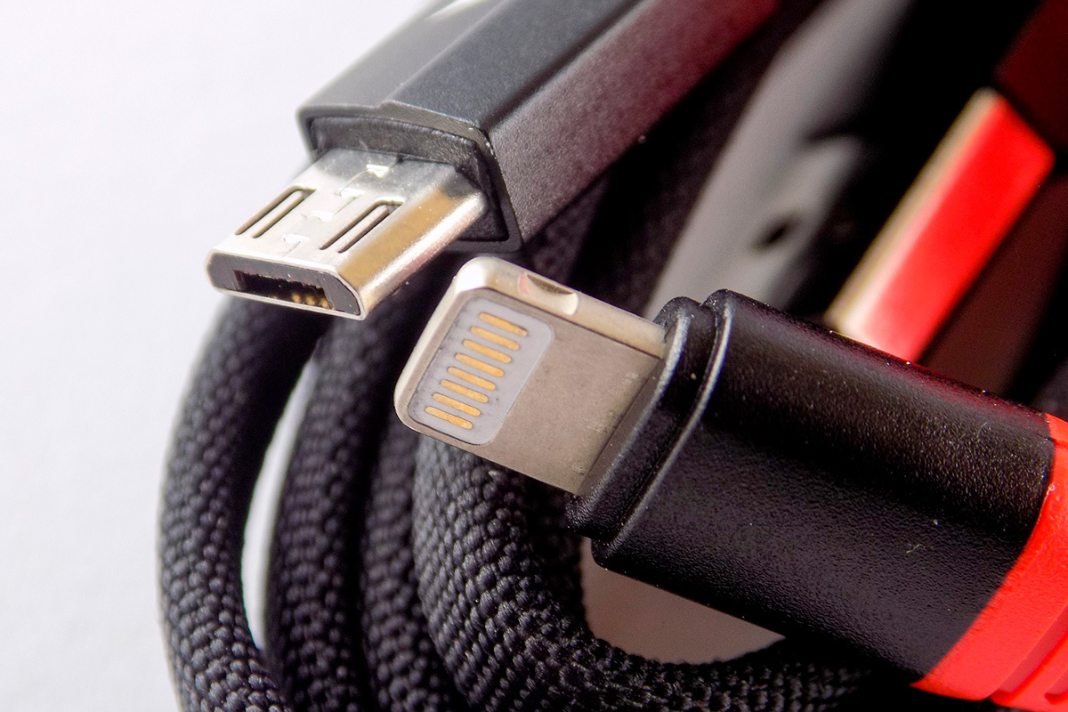    Фото: tomekwalecki / Pixabay.com