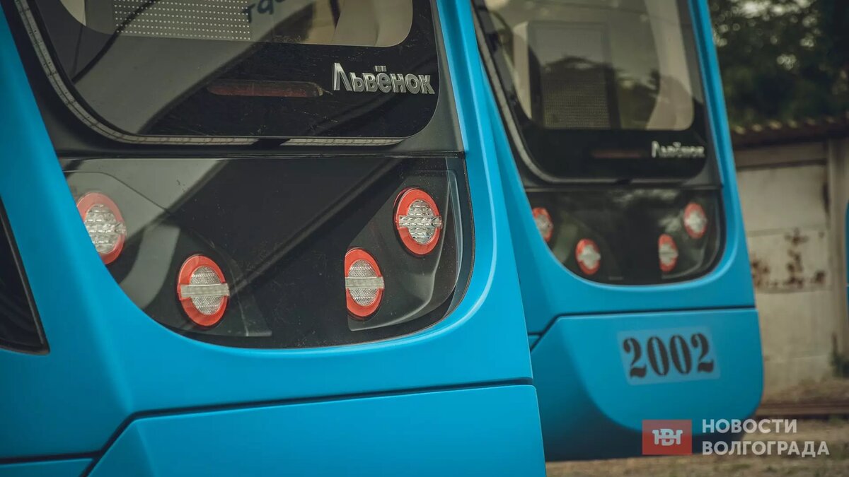     Источник: novostivolgograda.ru