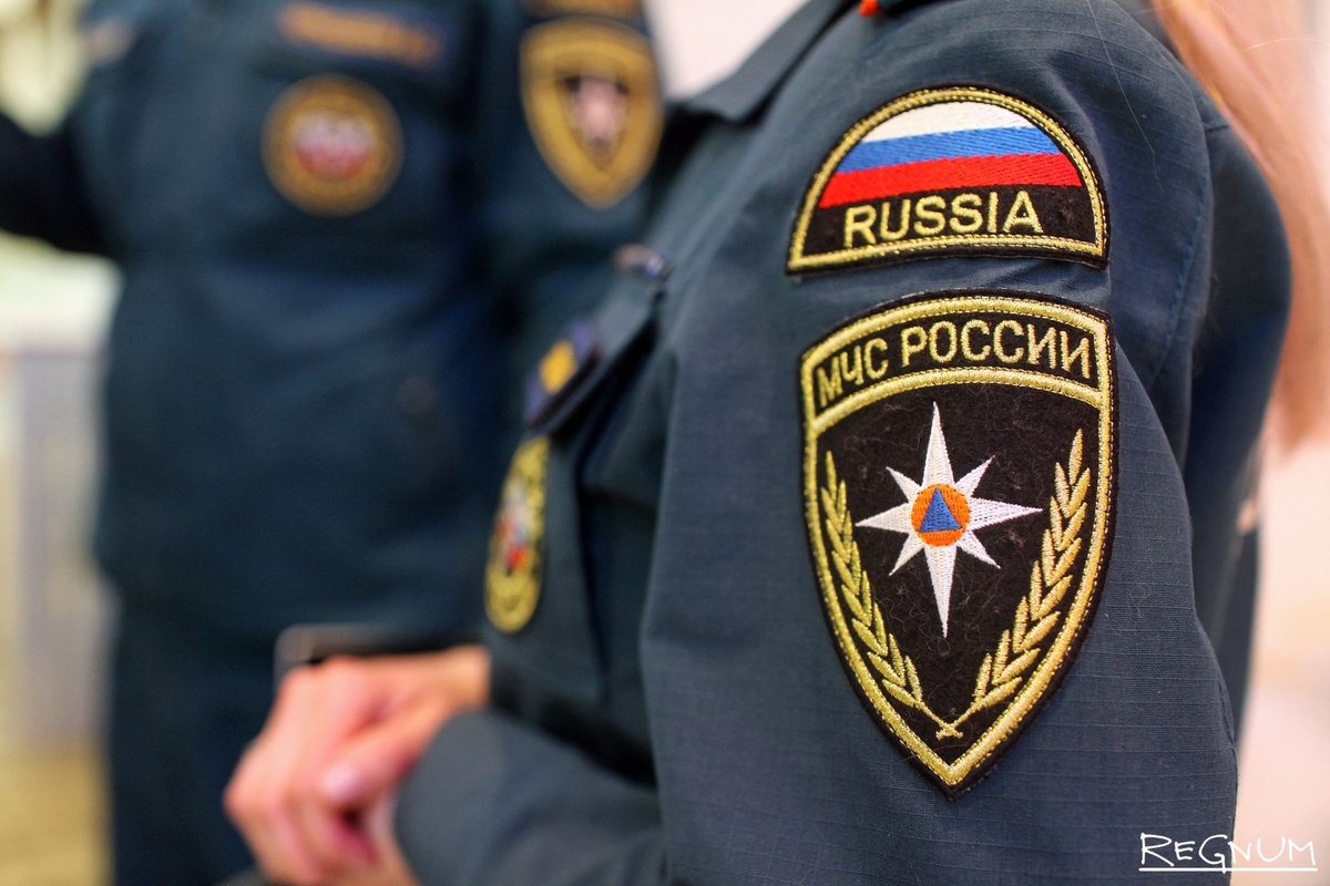     / Источник: Дарья Драй © ИА Регнум