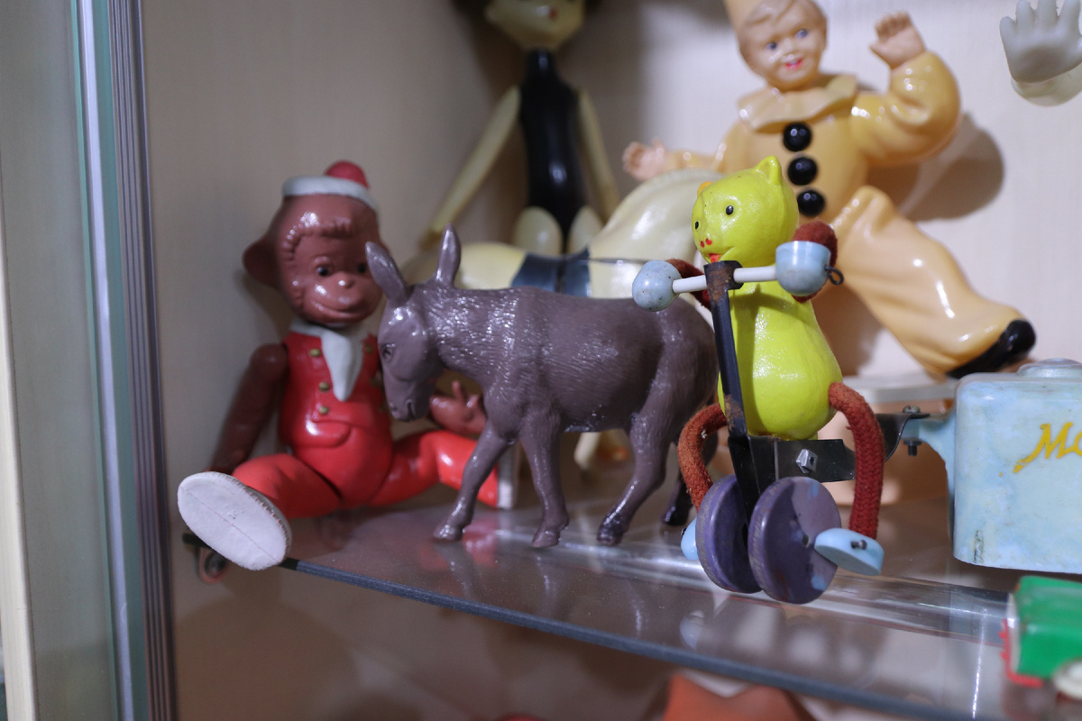 Фото: Тульская служба новостей