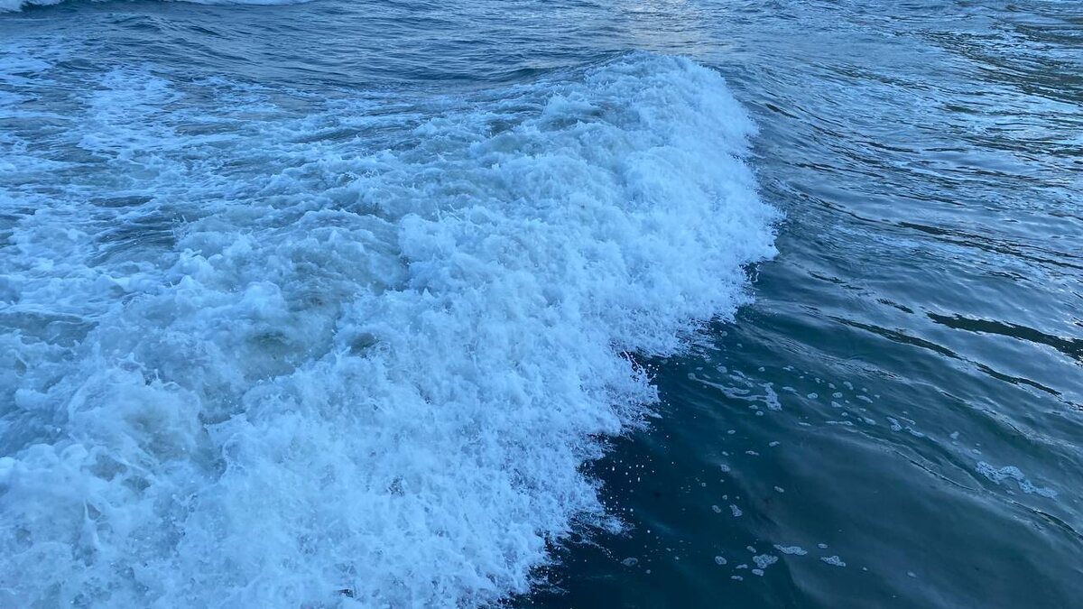    Крым 24 Elena Maltseva