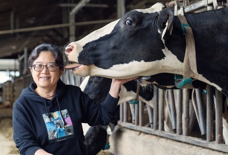    Крупный проект по антиметановым коровам запланирован в Канаде в 2025 году