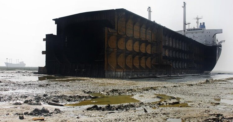 Фото из открытых источников.