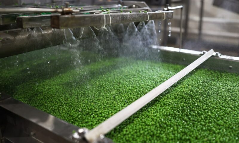    Фото пресс-службы правительства России