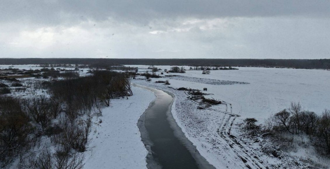    Фото: Минэкологии Тамбовской области