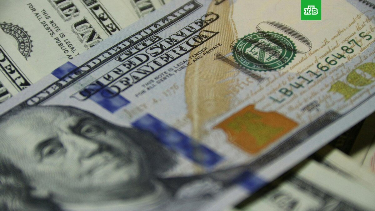    Фото: Vladimir Solomianyi / unsplash.com