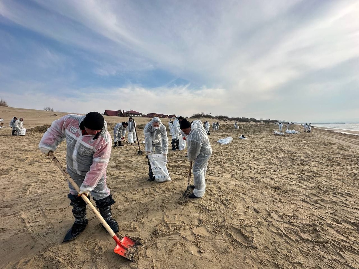 Как жил белых. Где обитают белые медведи окружающий мир. Как жил белых. Лебедянь ул свердлова. Жил был белый белый слон бел как облако.