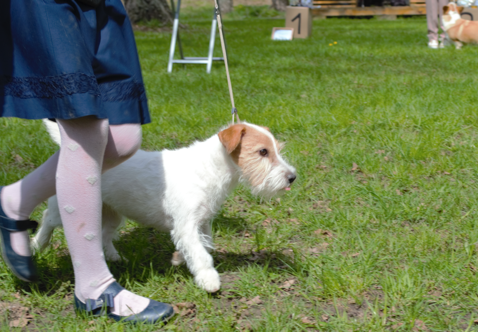 ИА «Тульская пресса»📷
