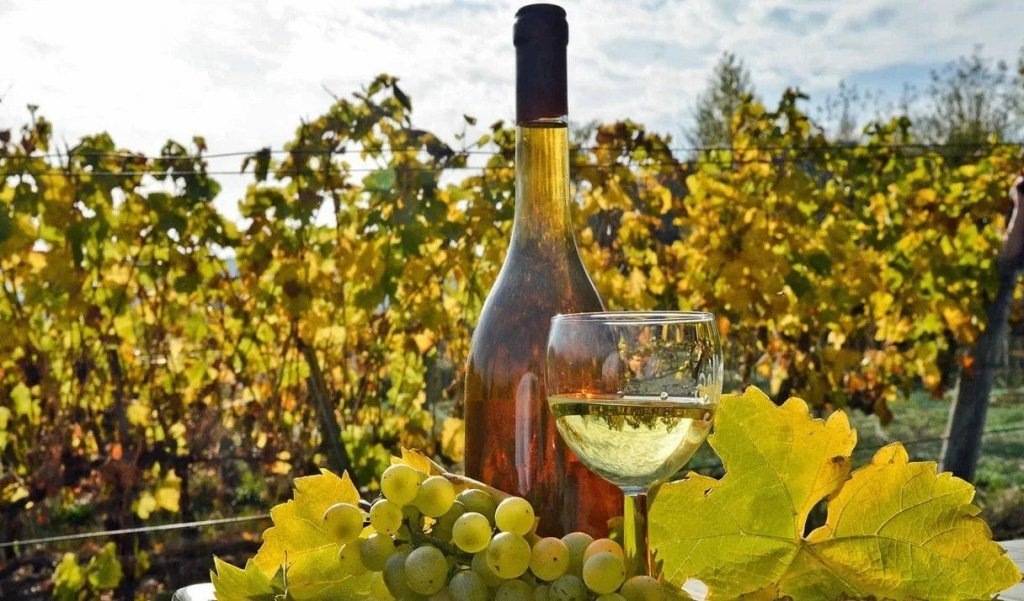 Рассказываем подробно про весьма популярный и древний сорт винограда - Токай Асу