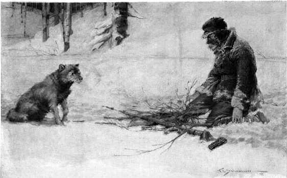 Джек Лондон, рассказ «Любовь к жизни». Иллюстрация из открытых источников