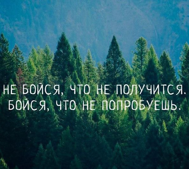 Фраза из «Макса Фрая», мем из открытых источников