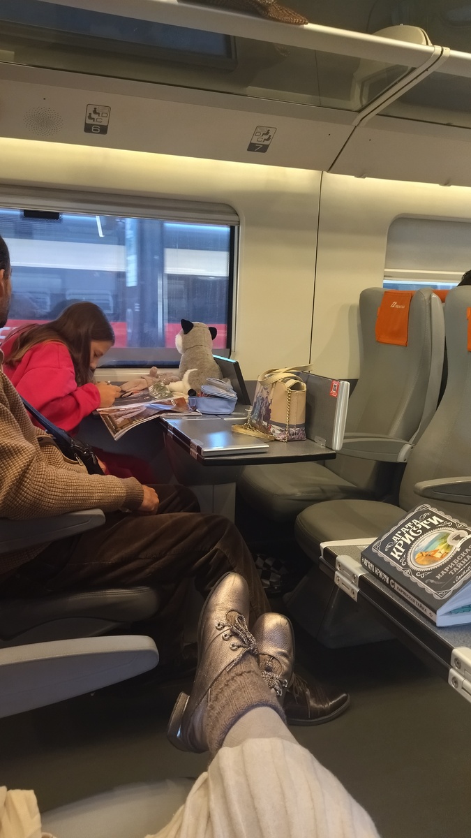 В нашем вагоне было много свободных мест, можно было поднять подлокотники и разместиться как на диванчике. Фото автора 