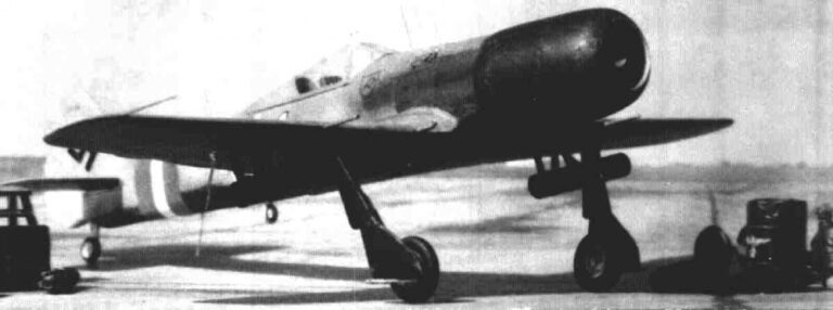 Фото Focke-Wulf Fw 190 Strahljäger из параллельного мира (продукт творчества фотошопперов)