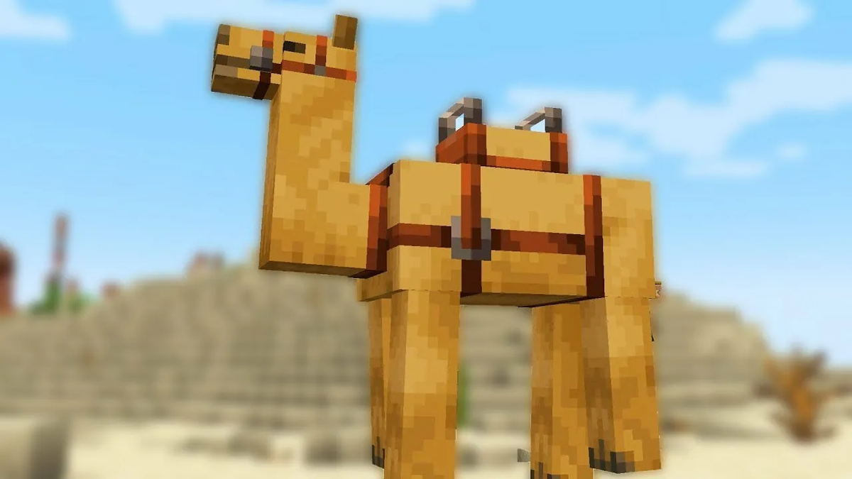 Верблюд с седлом