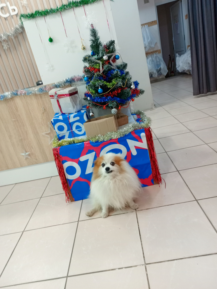 "Домовёнок" нашего пвз😆