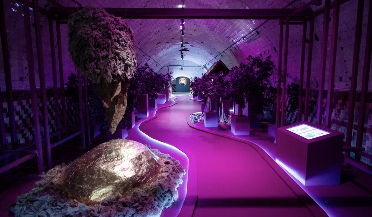    Пресс-служба