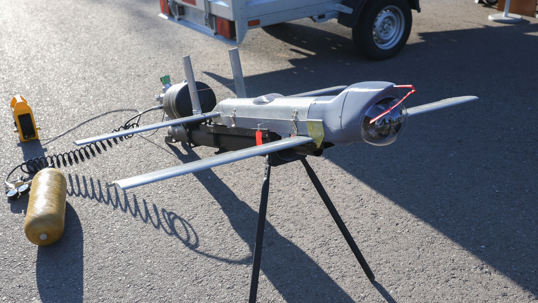    фото: Andrey Titov/Business Online/Globallookpress