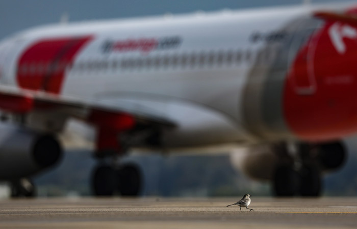    Фото: interfax.ru Георгий