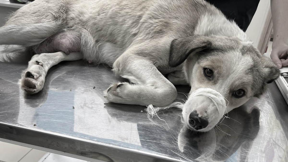 Больно осознавать, что все старания были напрасны...