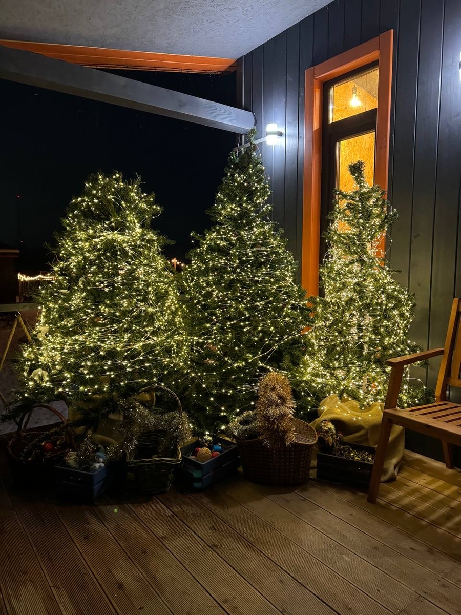 Вот такие красивые ёлочки у нас в Ruza River Club