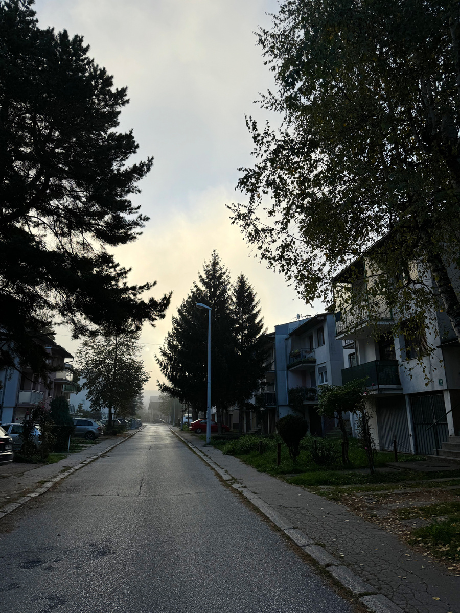 В районе аэропорта по дороге до остановки