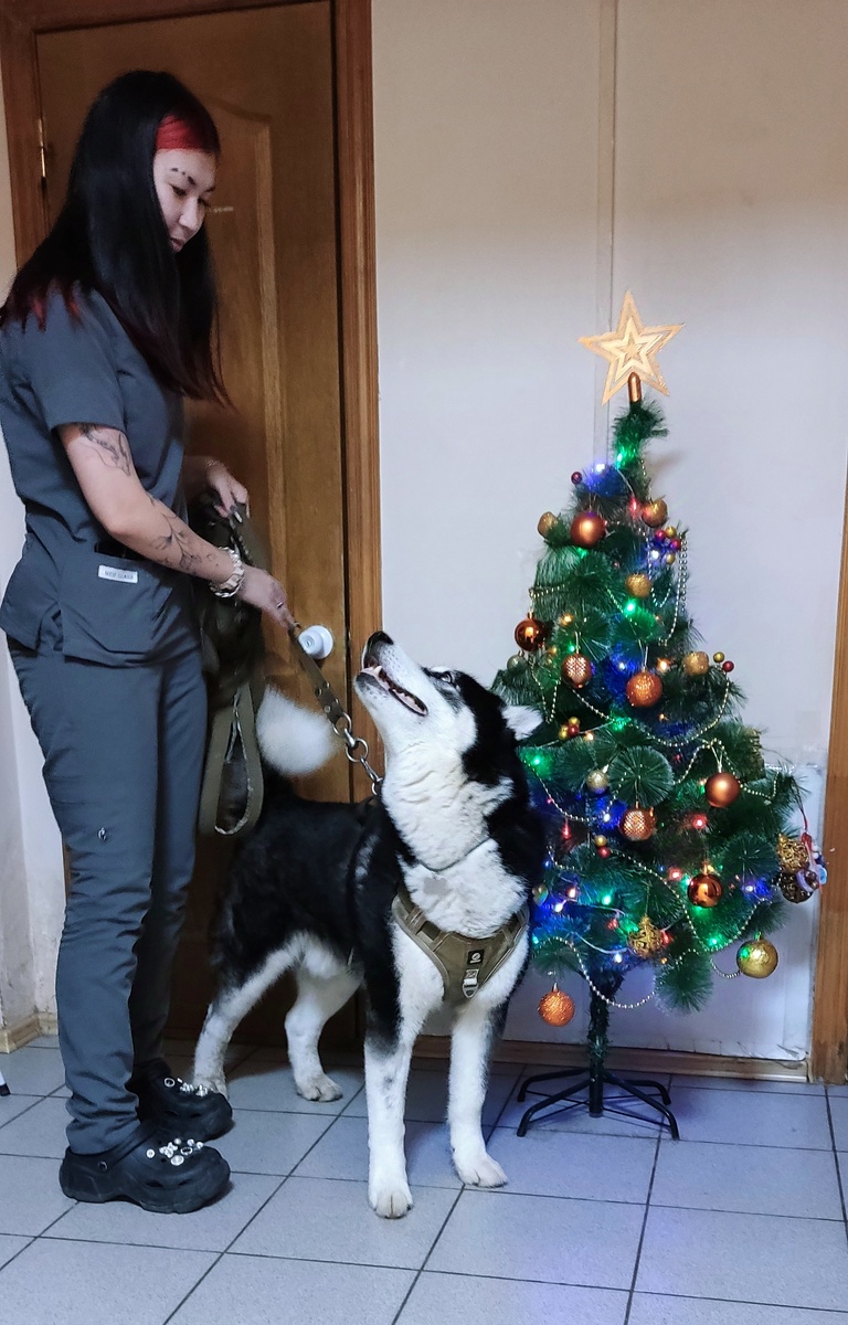 В клинике. Фото автора. 