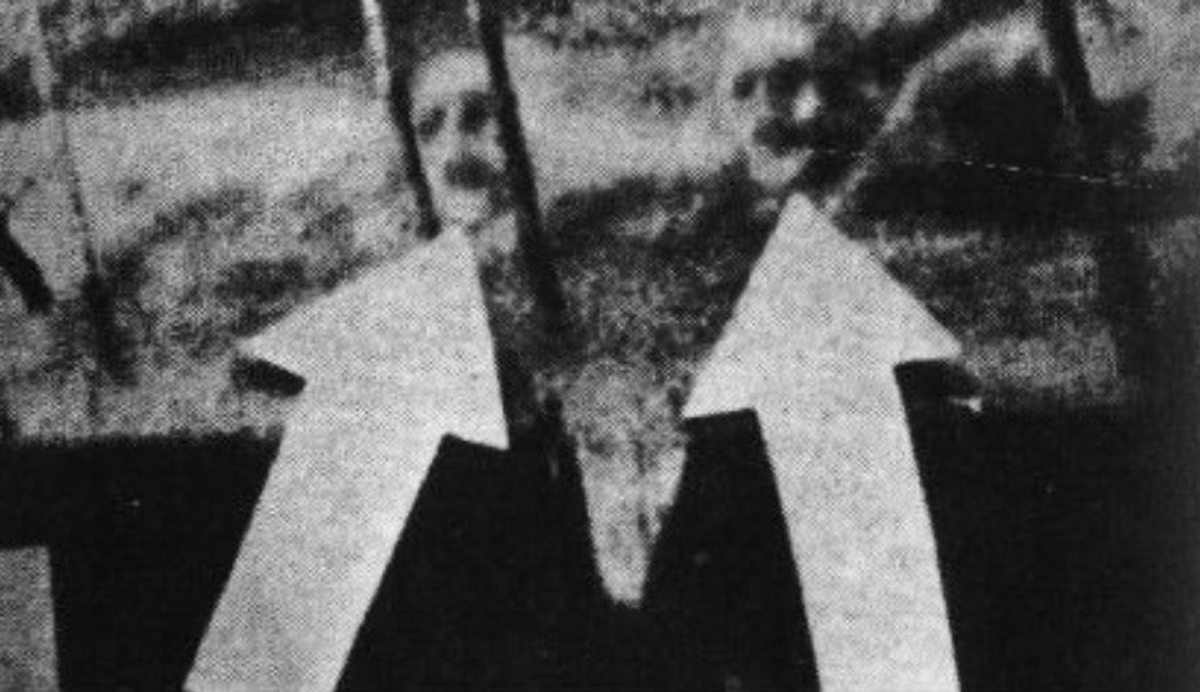 Автор: https://avatars.dzeninfra.ru/get-zen_doc/5226294/pub_6232ea38083da22417eb7d13_623302acb4fc634068e9355b/scale_1200