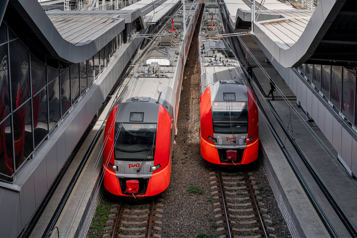 Фото: пресс-служба ФТ «Сириус»  📷
