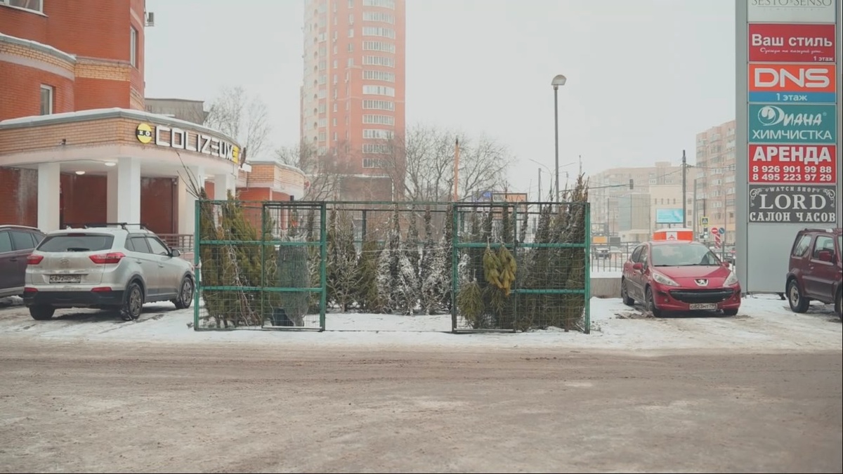 Елочный базар у ТЦ «Ладья»