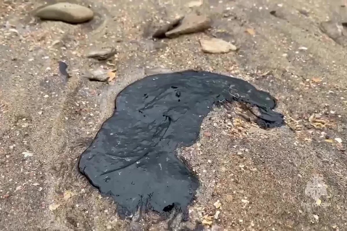    В Роспотребнадзоре рассказали о пункте временного накопления грунта в Анапе