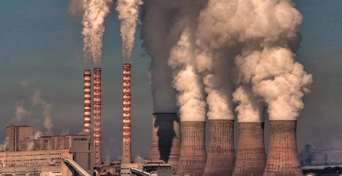    Фото: kras.mk.ru