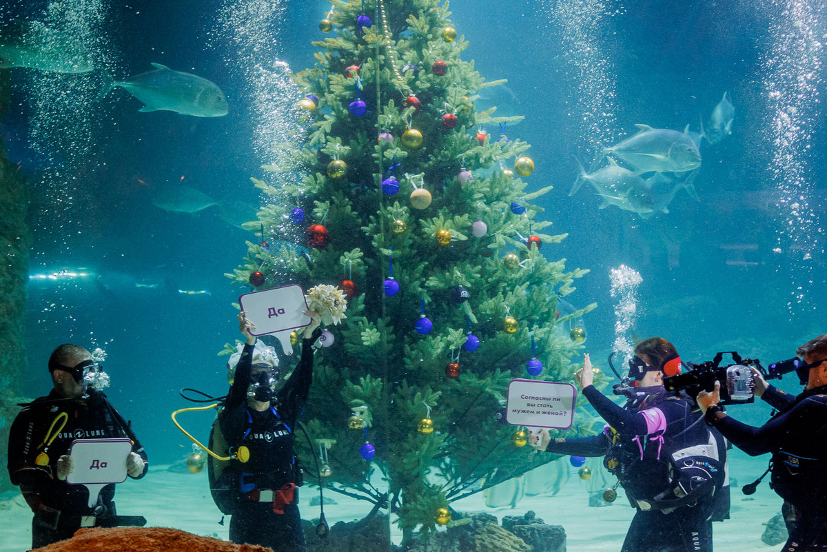    Первые подводные церемонии в Москвариуме
