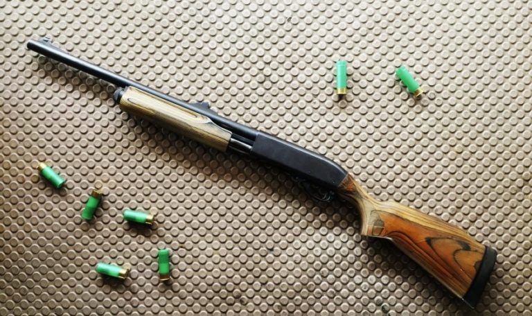    Фото: Pixabay / rawpixel.com Дмитрий Андреев