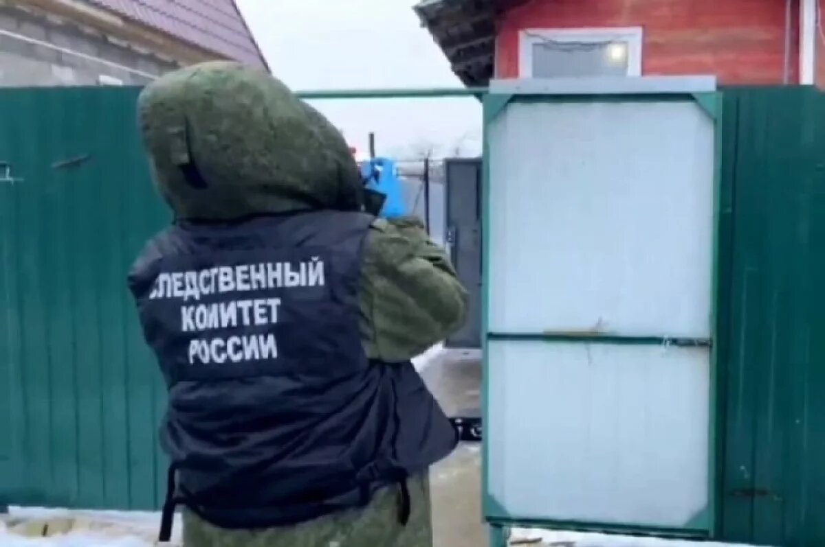    Юрист Хаминский: подозреваемого в убийстве детей проверят на вменяемость