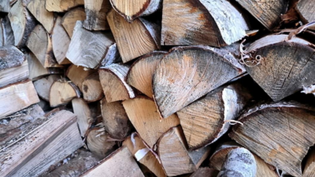    Фото: Maksim Konstantinov/Globallookpress